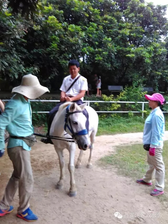 ���ҷ���׌��������á�2015��B�T�м�����(ji��)�����