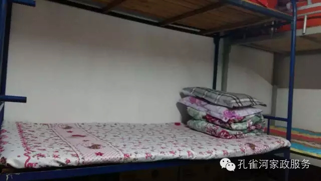 ��ȸ�Ӽ�����ķ������ů��ů�����ģ�