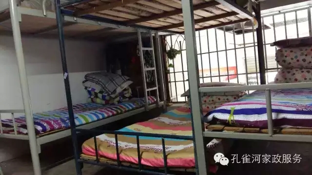 ��ȸ�Ӽ�����ķ������ů��ů�����ģ�