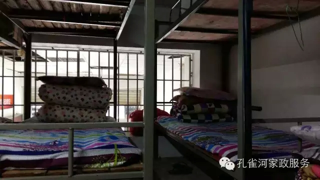 ��ȸ�Ӽ�����ķ������ů��ů�����ģ�