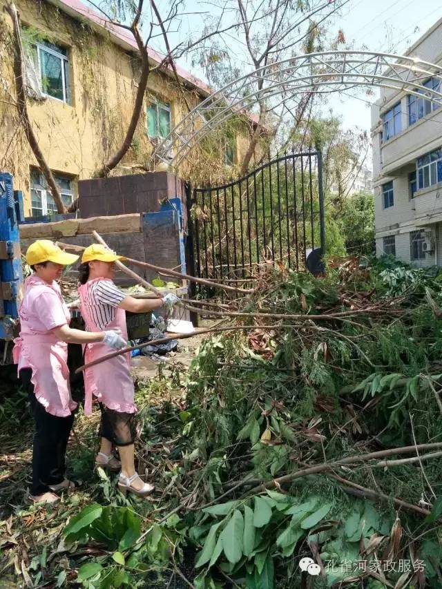 ��������y���������