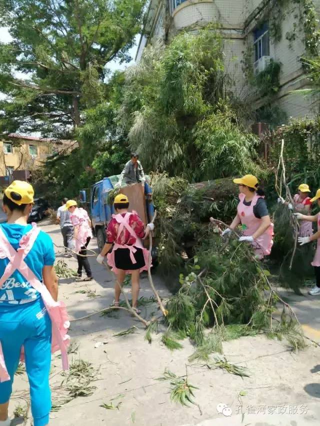 ��������y���������