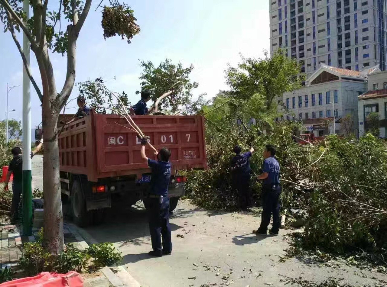 廈門家政公司接力災后重建義工活動