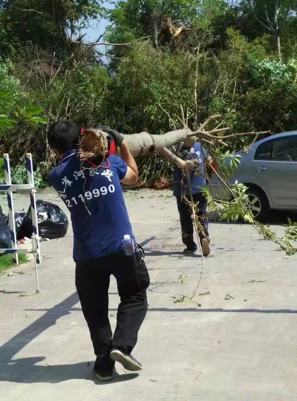 廈門家政公司接力災后重建義工活動